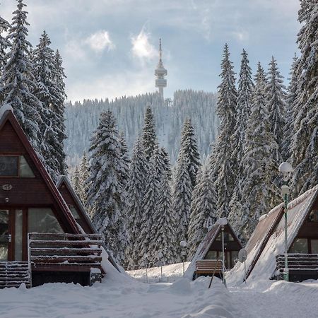 Vila Complex Malina Pamporovo Exteriér fotografie