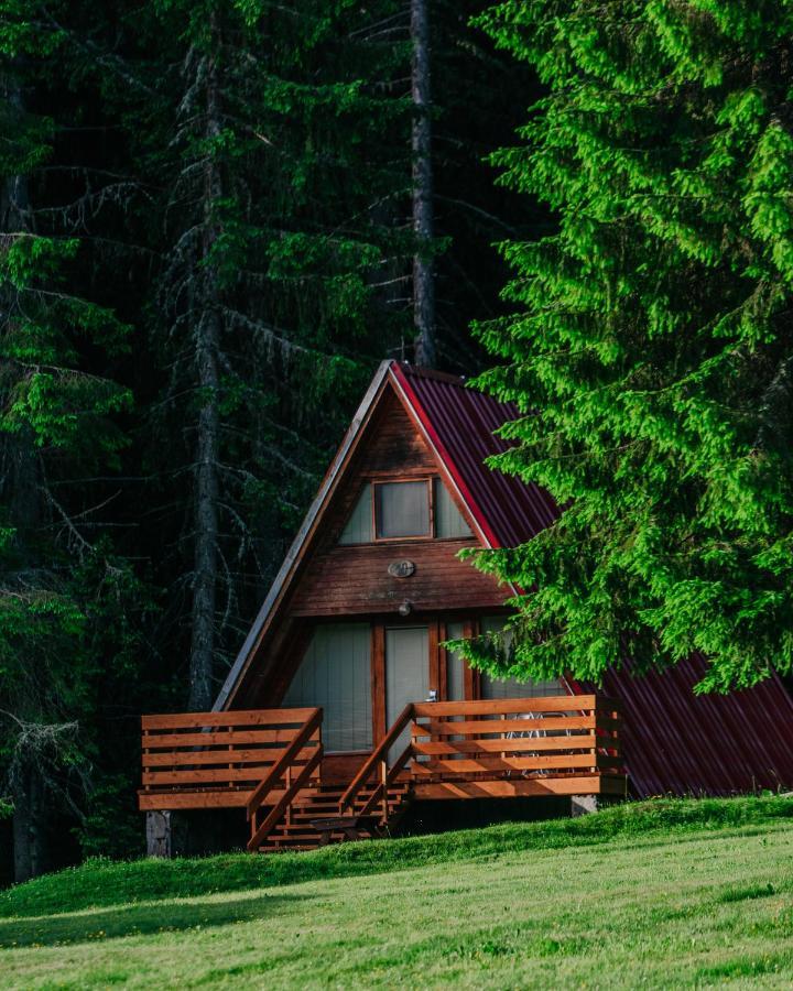 Vila Complex Malina Pamporovo Exteriér fotografie