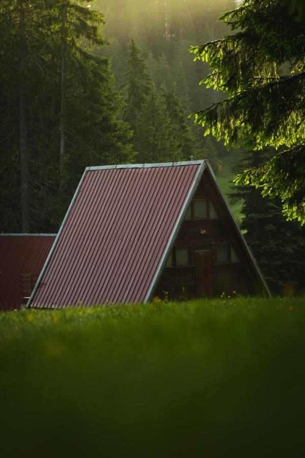 Vila Complex Malina Pamporovo Exteriér fotografie