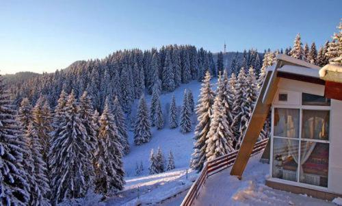 Vila Complex Malina Pamporovo Exteriér fotografie