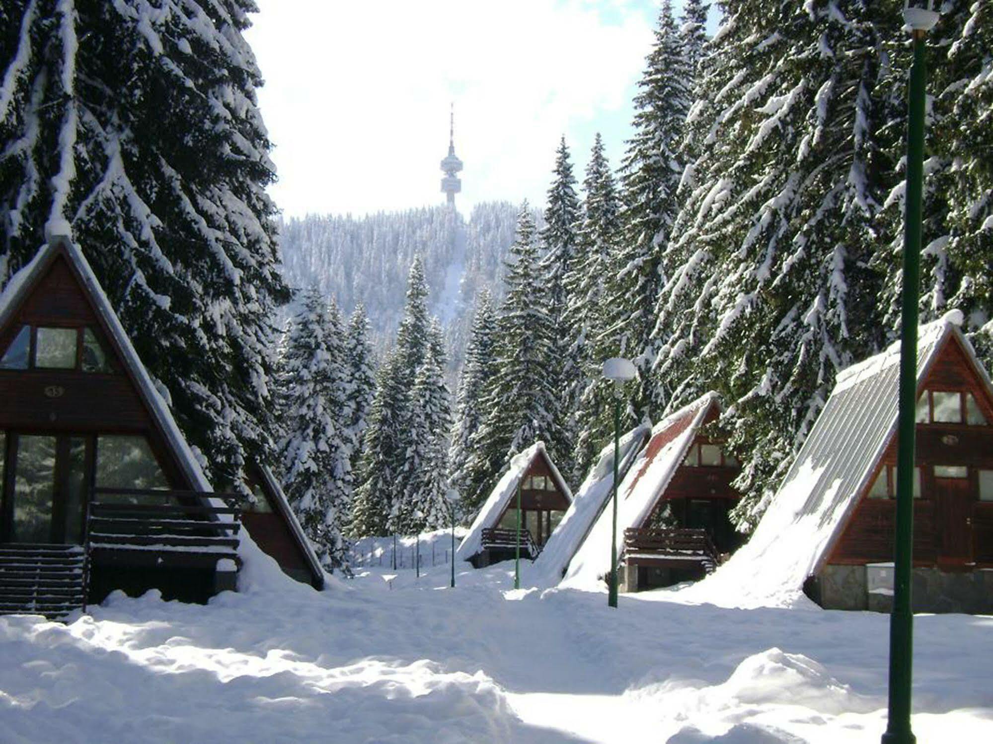 Vila Complex Malina Pamporovo Exteriér fotografie