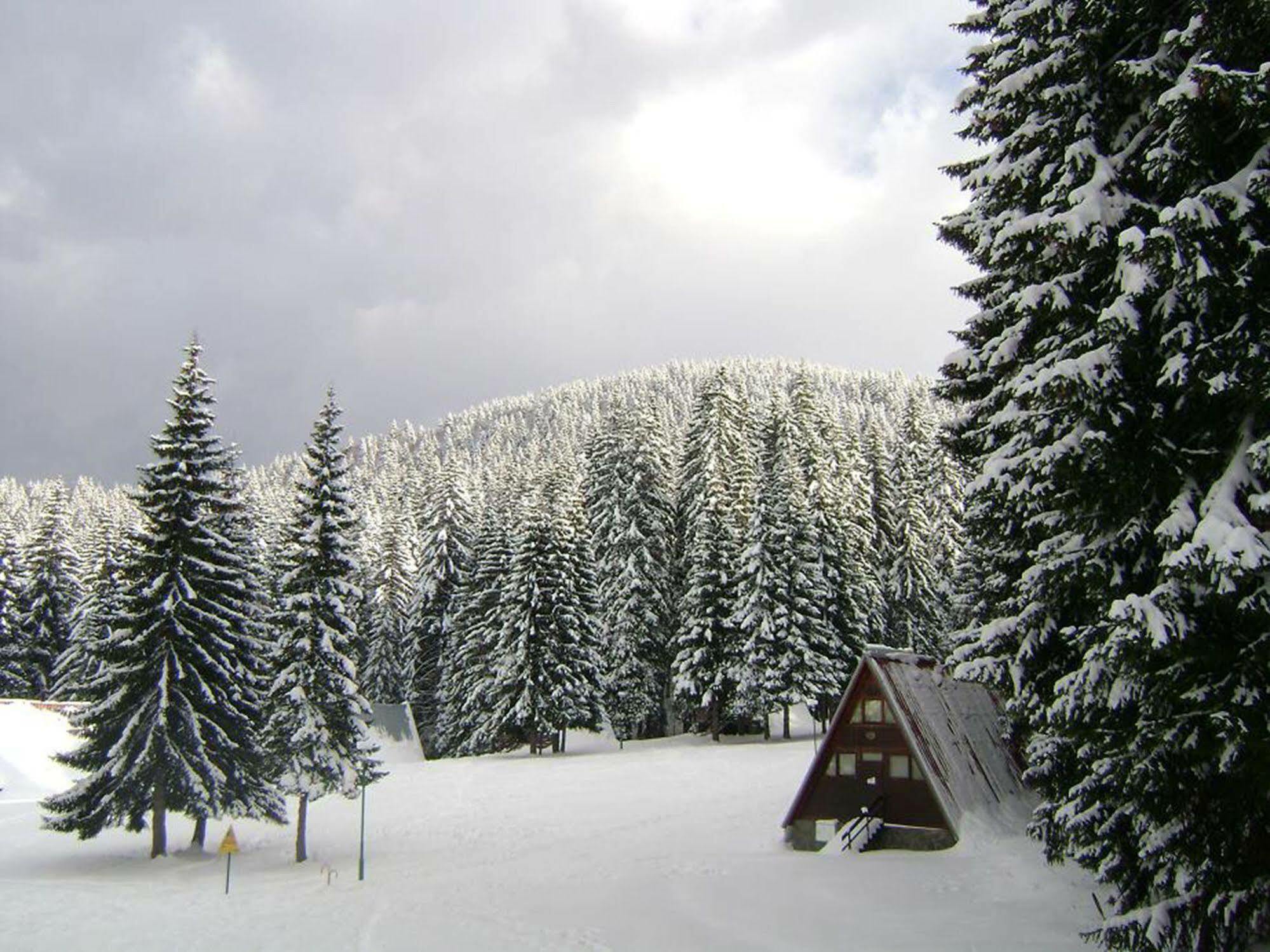 Vila Complex Malina Pamporovo Exteriér fotografie